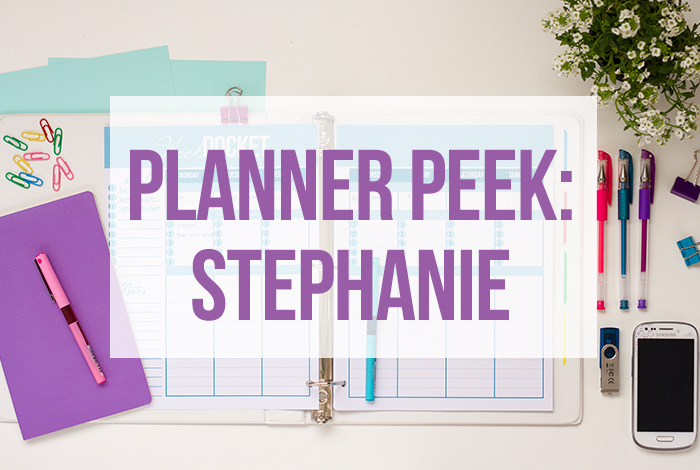 Planner Peek Tour of Stephanie's ARC Binder