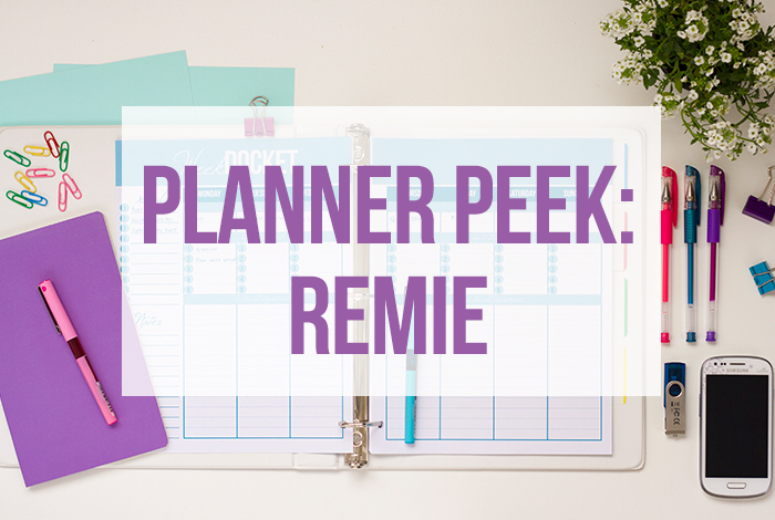 Remie's Planner Peek Tour