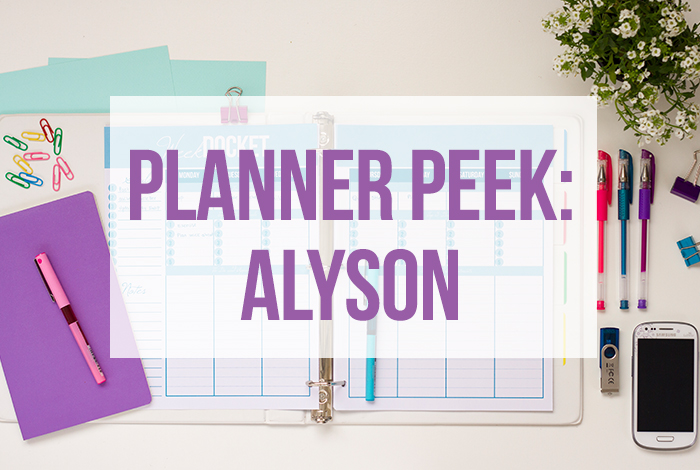 Alyson's Planner Peek